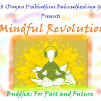 Mindful Revolution,2018